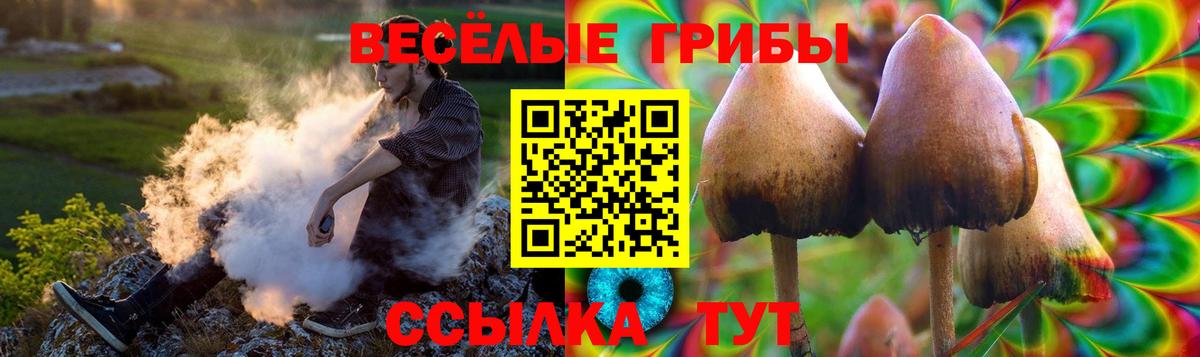 купить наркотики цена  Галлюциногенные грибы мицелий  Вход с VPN  Когалым 